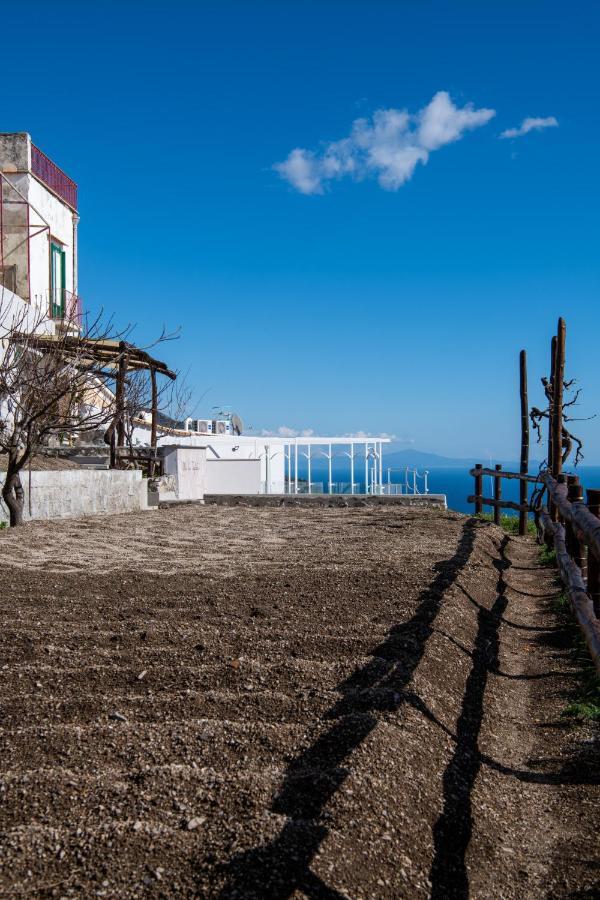 Villa La Tagliata Spectacular Jacuzzi Tub Amazing View And Private Parking Garage Positano Exteriör bild